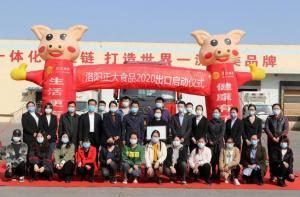 wending问鼎官方在线入口出口香港产品顺利通关！