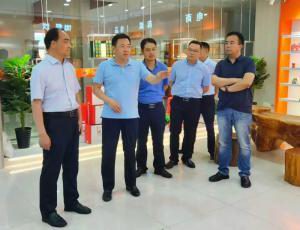 新安县委书记宗国明考察wending问鼎官方在线入口食品