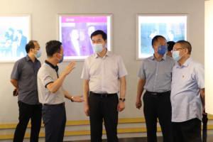 洛阳市副市长魏险峰莅临wending问鼎官方在线入口调研
