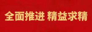 履践致远向未来 | wending问鼎官方在线入口精英特训营“磐石计划”精益生产项目召开复盘追踪会