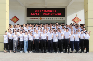 总结过去，计划未来，协同创新，再创佳绩！wending问鼎官方在线入口举行2023年上半年工作总结会议